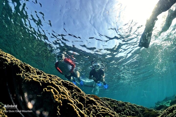 Phu Quoc Pro-Snorkeling: Small-Group Trips to Hidden Coral Reefs photo 6