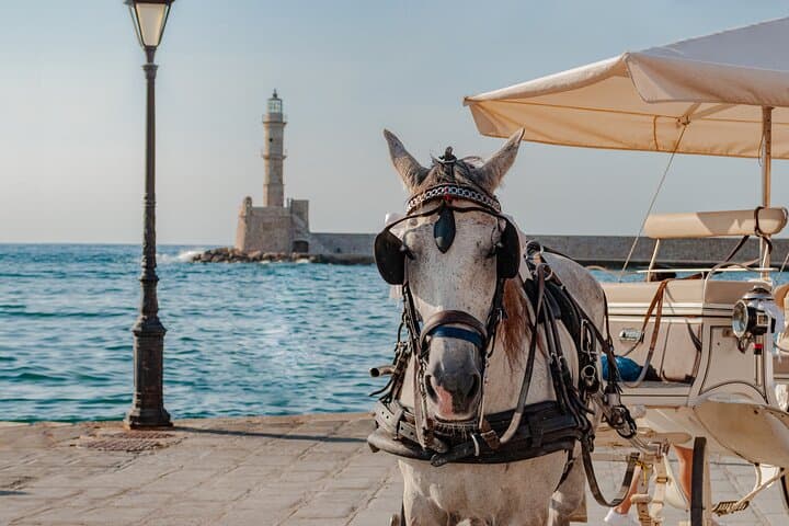 Private Day Tour from Heraklion to Chania, Kournas Lake & Rethymno — Venetian Harbors and Freshwater Shores photo 2