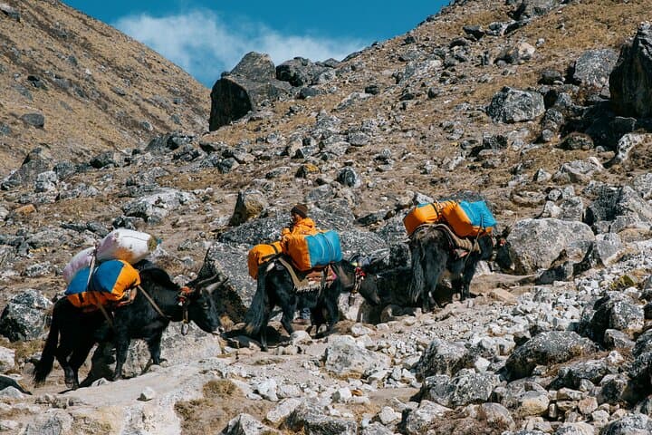 Everest Base Camp Trek: 14-Day Guided Trek from Kathmandu to EBC photo 5