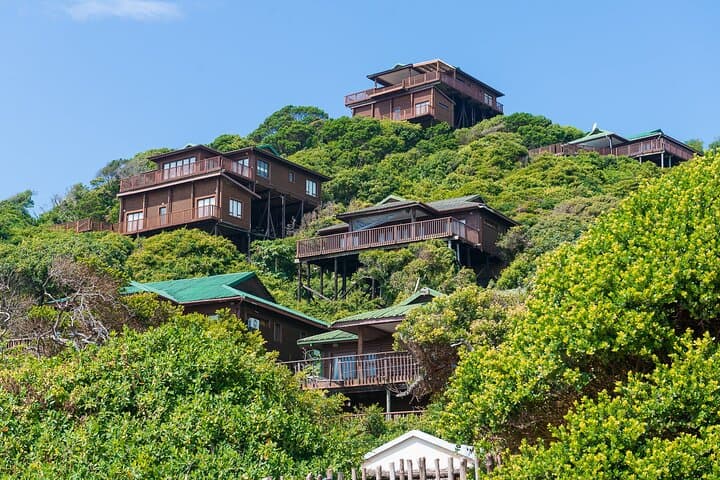 Full-Day Private Ponta D'Ouro Tour from Maputo — Beaches, Markets & Reserve Drive photo 4