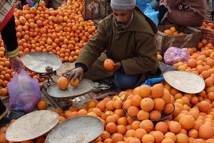 Day Trip to the Atlas Mountains from Marrakech: Imlil Valley, Berber Villages & Waterfall photo 4