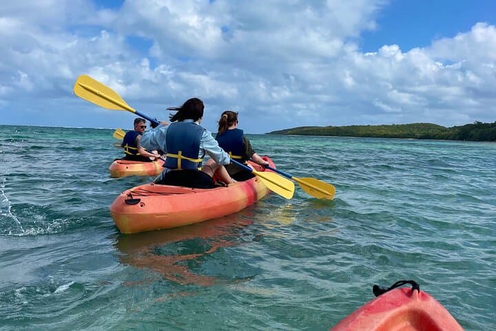 Full-Day Kayak Adventure in Fajardo's Cabezas de San Juan photo 6