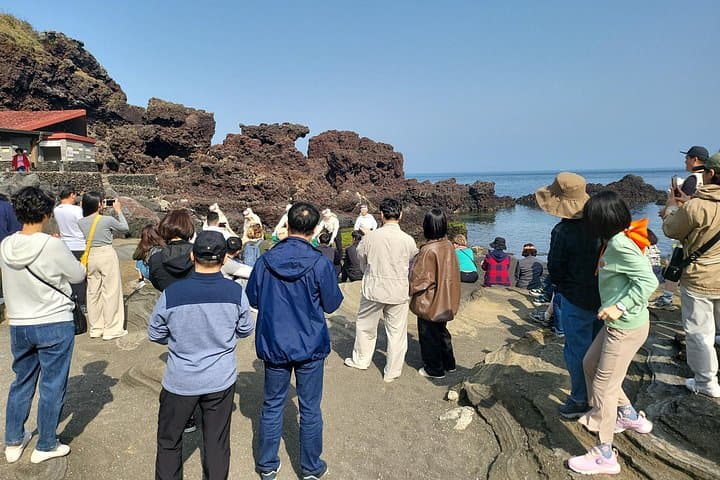 Private 2-Day Jeju Island Tour — Ilchulbong, Seongeup & Coastal Waterfalls photo 3