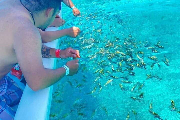 Isla Mujeres Snorkeling & MUSA Underwater Museum Tour — Reef, Sculptures & Beach Club photo 5