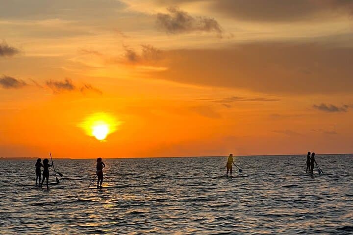 Sunrise Stand Up Paddle in Cancun — Private SUP Lesson on a Sargassum-Free Beach photo 2
