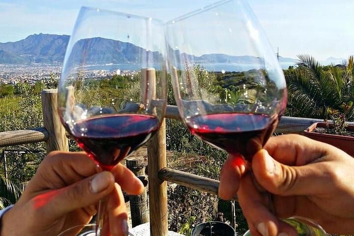 Pompeii and Vesuvius Wine Tasting: Day Tour from Naples photo 2