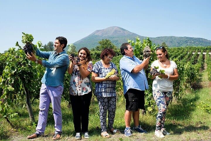 Pompeii and Vesuvius Wine Tasting: Day Tour from Naples photo 4