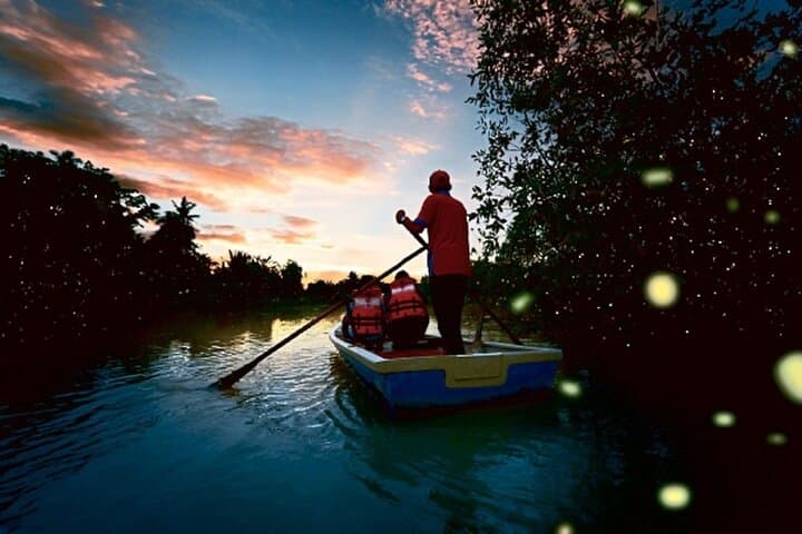 Kuala Selangor Firefly Boat Tour: Evening Mangrove Light Show & Seafood Dinner
