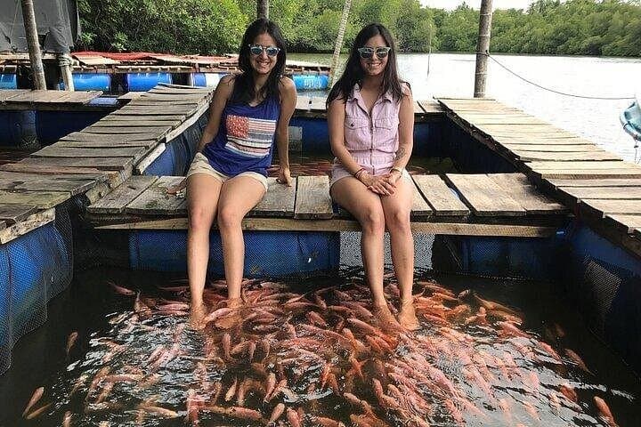 Bentota Day Trip from Colombo: Turtle Hatchery, Madu River Safari & Water Sports photo 1