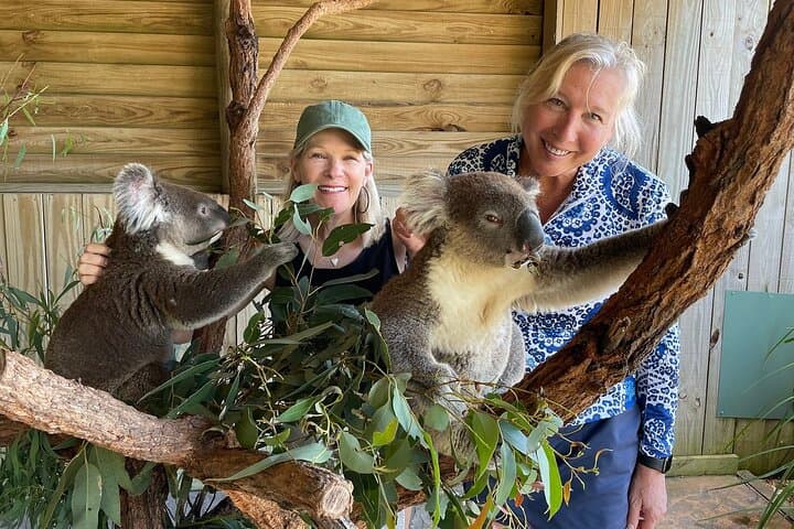 Royal National Park Hike, Swim and Wildlife Tour from Sydney photo 3