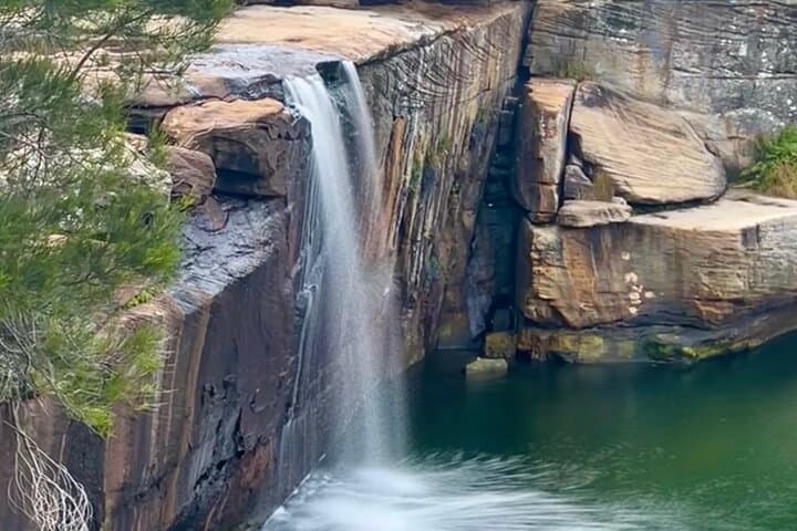 Royal National Park Hike, Swim and Wildlife Tour from Sydney