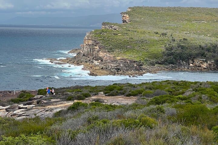 Royal National Park Hike, Swim and Wildlife Tour from Sydney photo 5