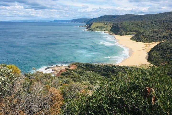 Royal National Park Hike, Swim and Wildlife Tour from Sydney photo 2
