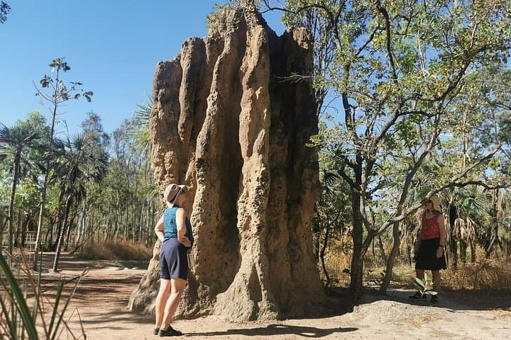 Litchfield National Park Day Tour from Darwin: Florence Falls, Buley Rockholes & Berry Springs photo 4