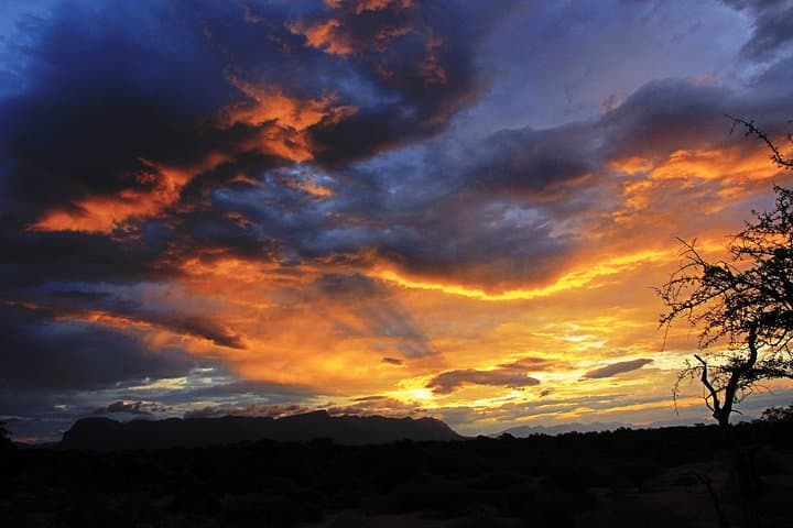 Sunset Game Drive near Hoedspruit — Private 5,500‑hectare Safari Experience photo 2