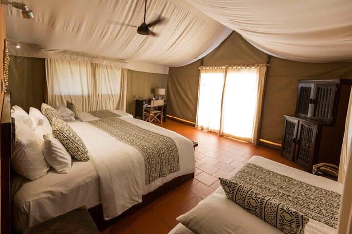 Luxury Safari at Zaina Lodge: 3-Day Mole National Park Experience photo 3