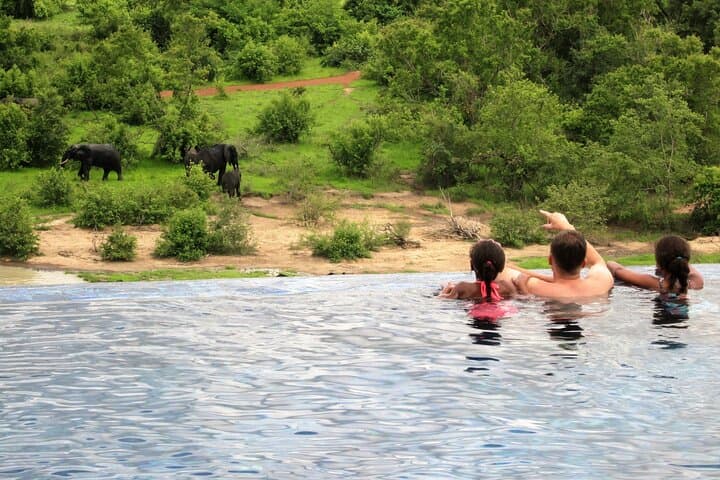 Luxury Safari at Zaina Lodge: 3-Day Mole National Park Experience photo 4