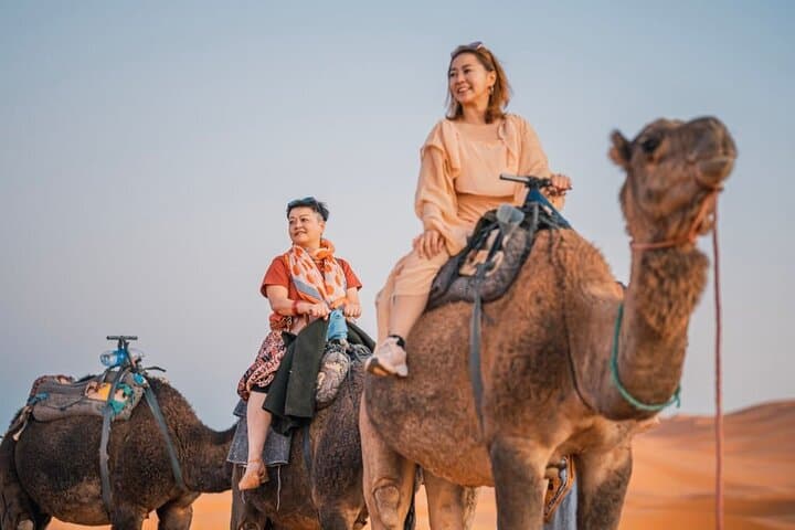 Camel Ride in Agadir: Beach & Souss River Eucalyptus Tour with Hotel Transfer photo 4