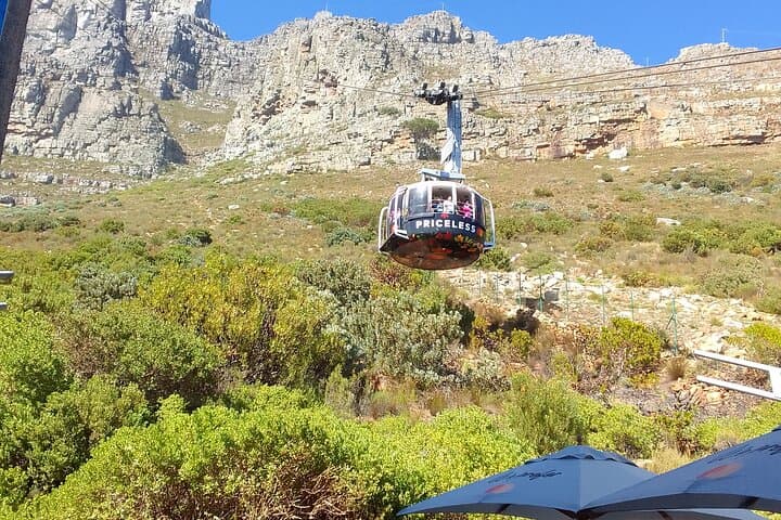 Table Mountain to Constantia: Private Full-Day Cape Town & Wine Valley Tour photo 2