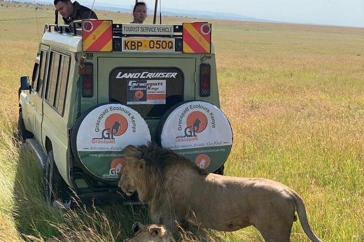 2-Day Taita Hills Conservancy Safari: Lions, Elephants & Saltlick Lodge photo 3