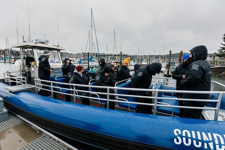 Anacortes Zodiac Whale Watching — San Juan Islands Wildlife Cruise photo 4