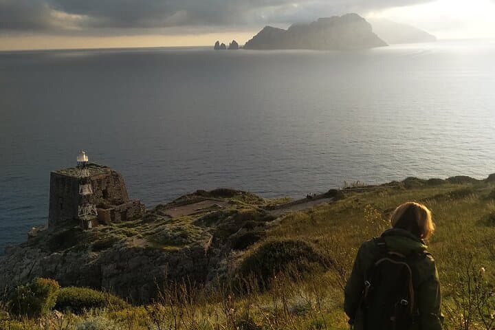 Hike Punta Campanella via the Minerva Trail — Capri Views & Coastal Cliffs photo 3