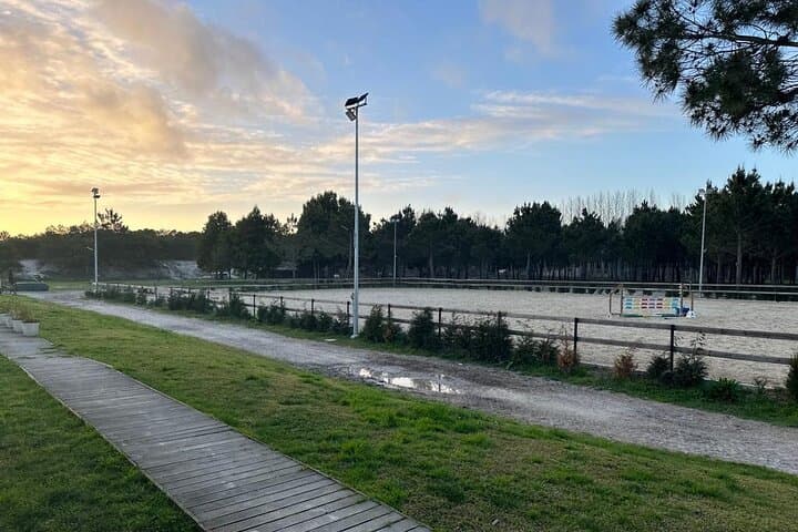 Horse Baptism in Aveiro: 30-Minute Guided Ride Through Ílhavo Wetlands photo 4