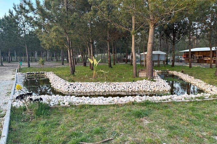 Horse Baptism in Aveiro: 30-Minute Guided Ride Through Ílhavo Wetlands photo 5