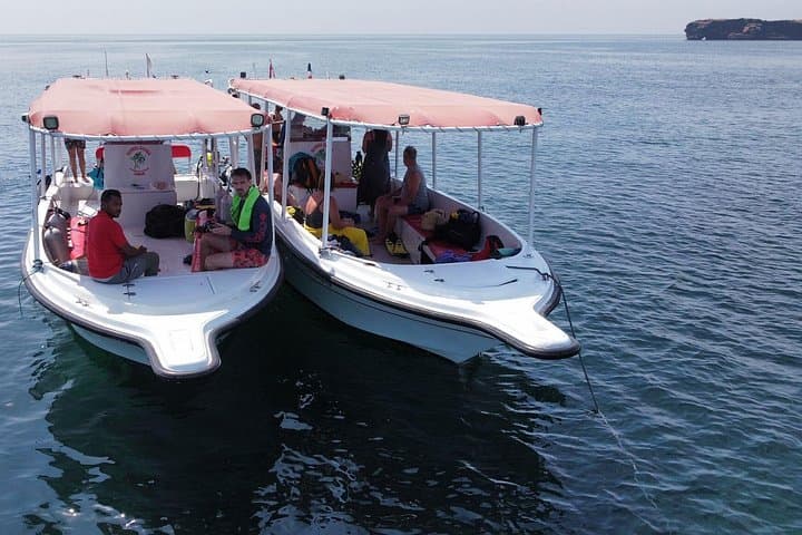 Daymaniyat Islands Snorkel: Swim with Turtles, Rays & Whale Sharks off Muscat photo 2
