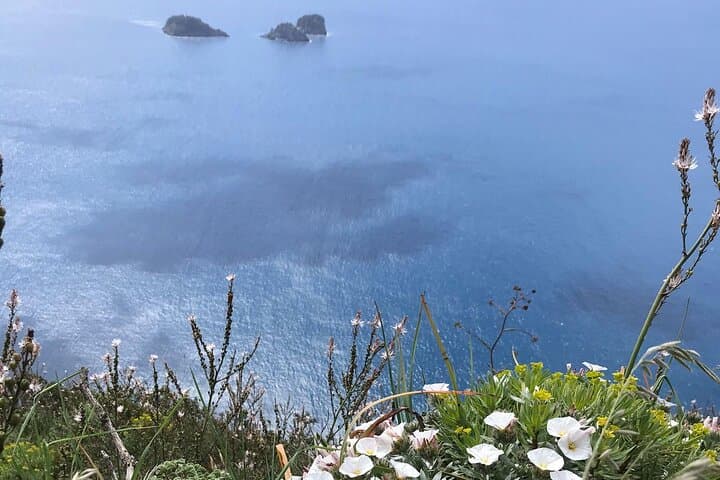 Syrenuse Guided Trek: Ulysses & Sirens Hike on the Sorrento Peninsula photo 2