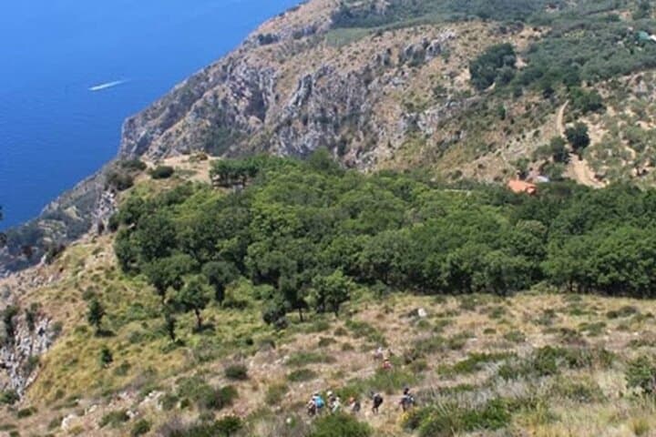 Syrenuse Guided Trek: Ulysses & Sirens Hike on the Sorrento Peninsula photo 4