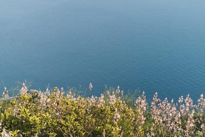 Syrenuse Guided Trek: Ulysses & Sirens Hike on the Sorrento Peninsula photo 6