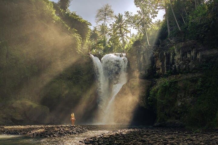 Ubud Full-Day: Monkey Forest, Tirta Empul, Tegalalang & Tegenungan Waterfall photo 5