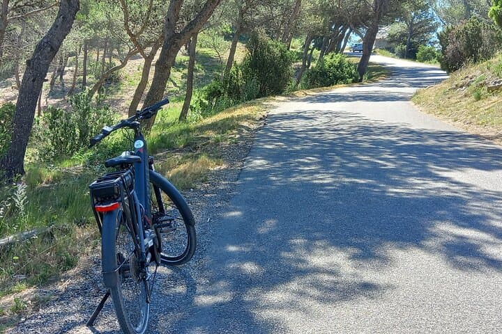 Full-Day E-Bike Tour in Luberon from Aix-en-Provence: Villages, Vines & Views photo 5