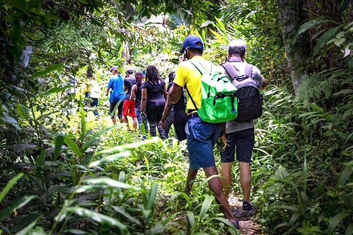 Blue Mountain Hike, Bike & Waterfall Tour with Coffee and Lunch
