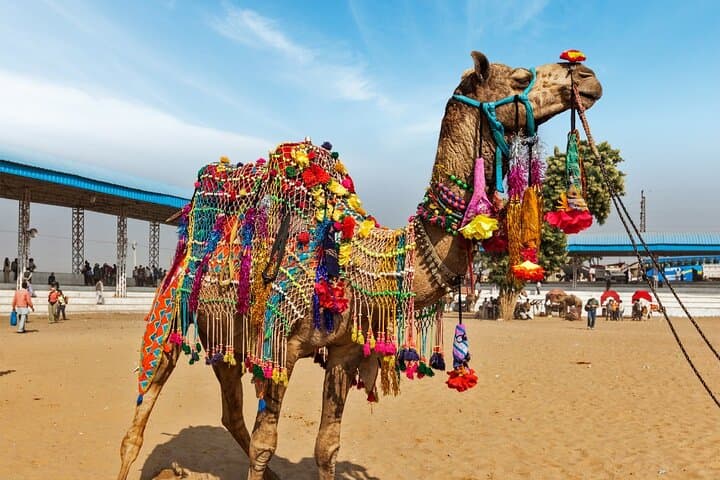 6-Day Golden Triangle with Pushkar — Delhi, Agra, Jaipur & Holy Pushkar Tour photo 2
