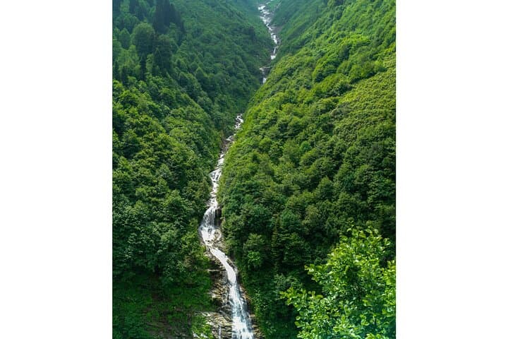 Ayder Highland Private Tour — Rafting, Tea Fields & Gelin Tulu Waterfall photo 3