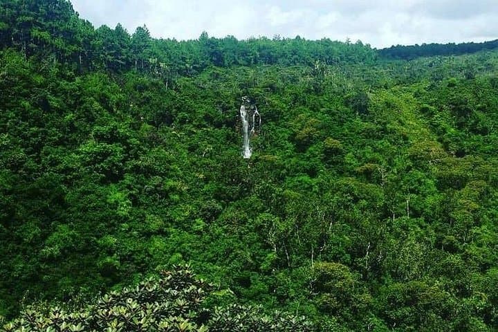 Chamarel & Ebony Forest Full-Day Nature Tour: 7 Coloured Earth, Waterfalls & Sacred Lakes photo 2