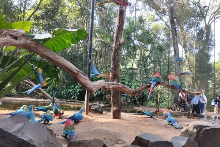 Iguaçu Falls, Parque das Aves and Itaipu: Day Tour from Foz do Iguaçu photo 2