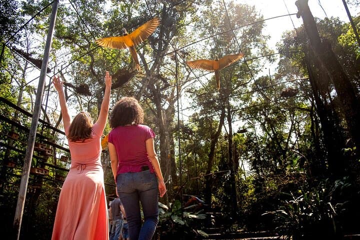 Iguaçu Falls, Parque das Aves and Itaipu: Day Tour from Foz do Iguaçu photo 3