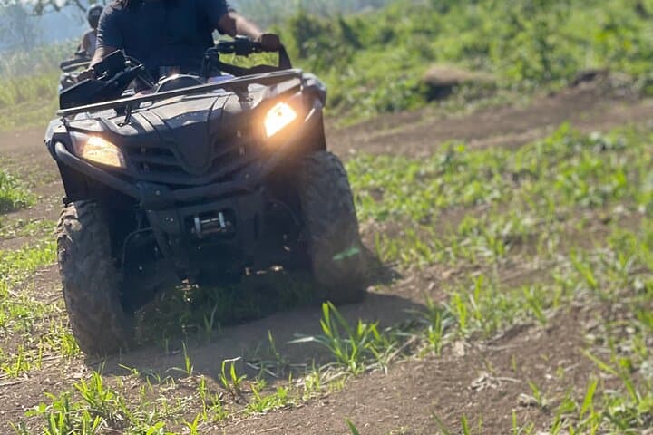 Montego Bay Adventure: ATV, Zipline, Horseback, Bamboo Rafting & Rick's Café Combo photo 6
