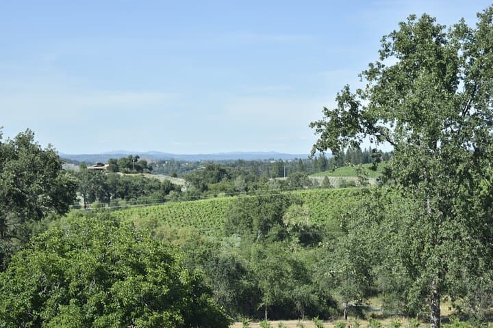 Private Lodi Wine Tasting Tours: Custom 1–14 Passenger Wine Country Day Trips photo 2