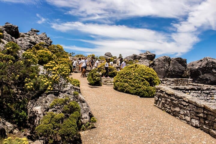 Full-Day Cape Peninsula Tour: Table Mountain, Chapman's Peak, Cape Point & Boulders Penguin Colony photo 6