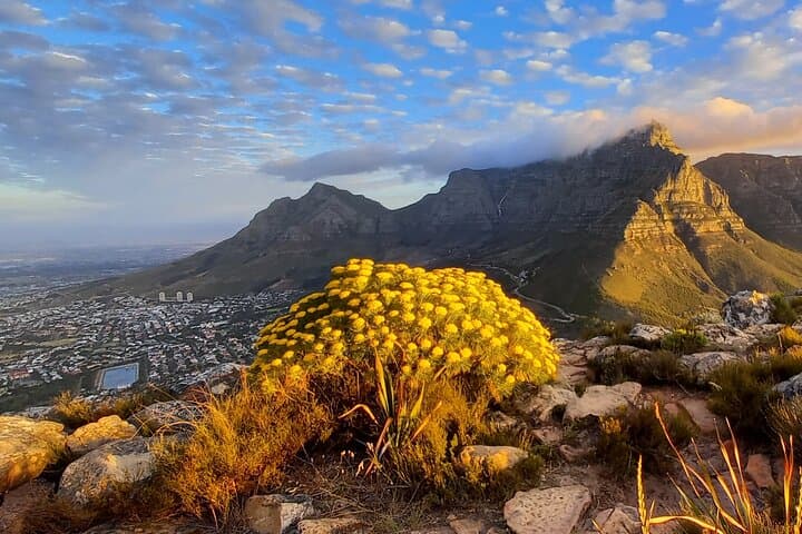 Lion's Head Sunrise & Sunset Hike: Cape Town 360° Views and Practical Guide photo 2