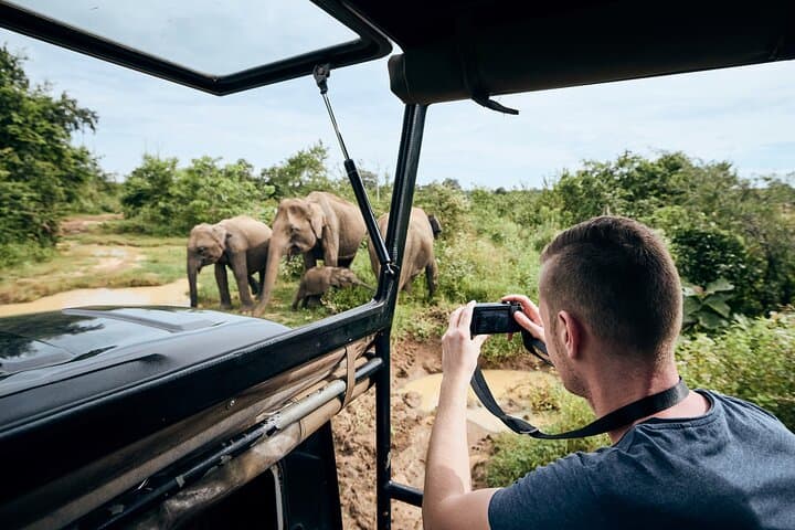 Yala National Park Leopard Safari: Morning & Full-Day Wildlife Jeep Drives photo 2