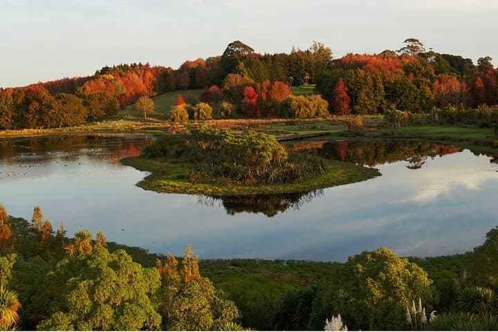 Auckland Nature Tour: Maungawhau, Cornwall Park & Ayrlies Garden Day Trip