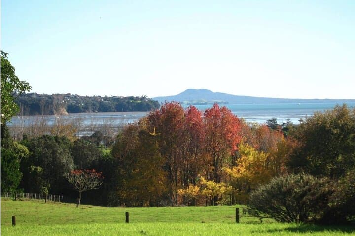 Auckland Nature Tour: Maungawhau, Cornwall Park & Ayrlies Garden Day Trip photo 2