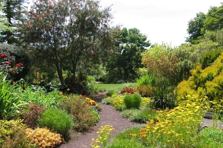 Auckland Nature Tour: Maungawhau, Cornwall Park & Ayrlies Garden Day Trip photo 6