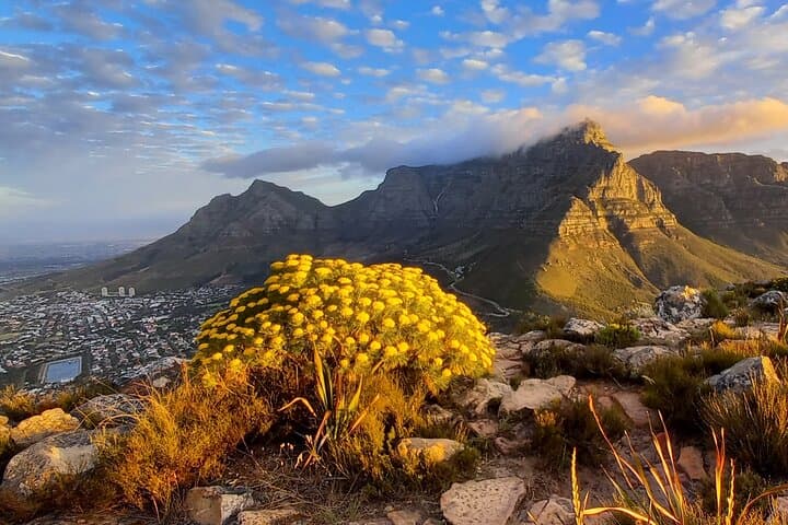 Lion's Head Sunrise & Sunset Hike: 360° Views Above Cape Town