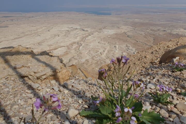 Masada and Dead Sea Private Day Tour: Ein Gedi Oasis, Float & Ahava Factory photo 2
